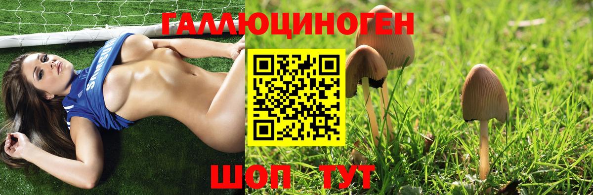 Галлюциногенные грибы Psilocybe Мирный